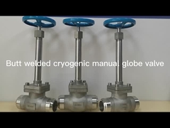 cryogenic SW manual globe valve