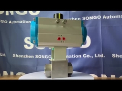Pneumatic Actuator valve