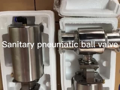 Pneumatic Actuator valve