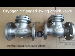 SONGO Cryogenic Flange CHeck Valve -196 Degree Low Temperature SS304 CF8M For LN2 LO2