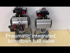 Pneumatic Actuator valve