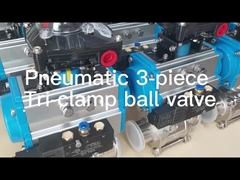 Pneumatic Actuator valve