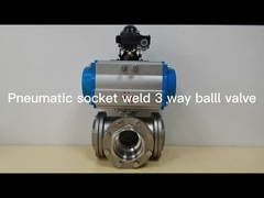 Pneumatic Actuator valve