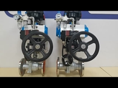 Pneumatic Actuator valve