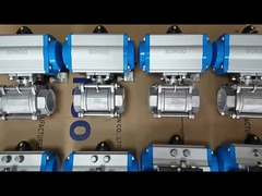 Pneumatic Actuator valve
