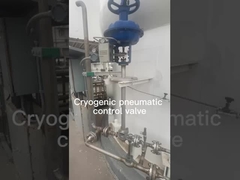 Cryogenic valve