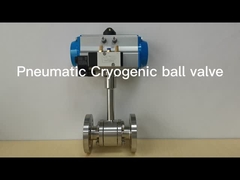 Cryogenic valve