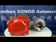 Pneumatic Actuator valve