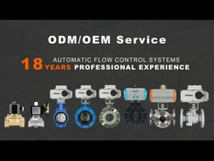 Pneumatic Actuator valve