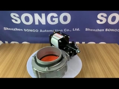 Pneumatic Actuator valve