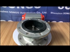 Pneumatic Actuator valve