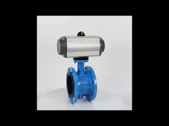 Pneumatic Actuator valve