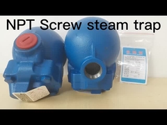 Steam Trap