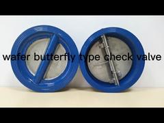  Ductile Iron Wafer Check Valve Dual Plate 