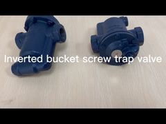 Inverted bucket screw trap valve