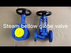 Bellows Seat Steam Globe Valve Flange 16bar 25bar Din Standard 