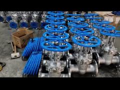 Metal Seated Flange Gate Valve DN125 5 Inch ANSI 150LB Rising Stem SS304 with Handwheel Demo