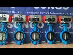 A Closer Look: Bray Type Wafer Pneumaitc Actuator Valve Spring Return EPDM Ductile Casting Iron