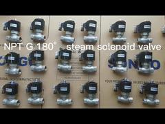 Direct Acting Piston Steam Solenoid Valve 180 Deg No Nc 16bar 2 Way 24VDC NPT Thread Magnetic