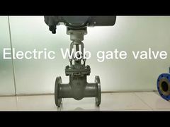 Motorized WCB flange gate Valve