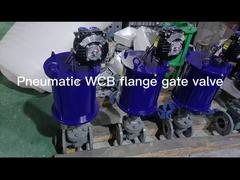 SONGO Pneumatic Gate Valve Stainless Steel Class150 Pneumatic Actuator Air Control Gate Valve